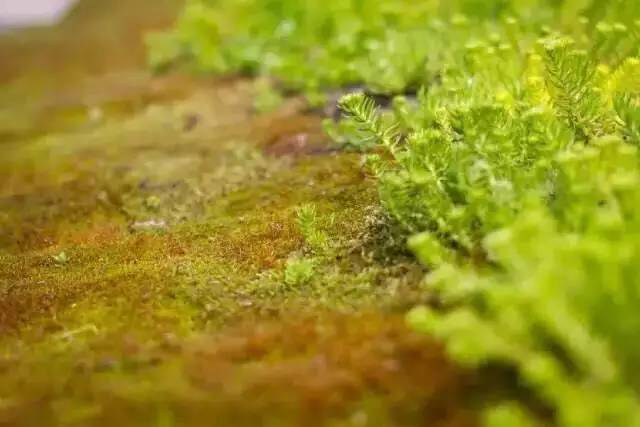 云顶集团(中国区)官方网站